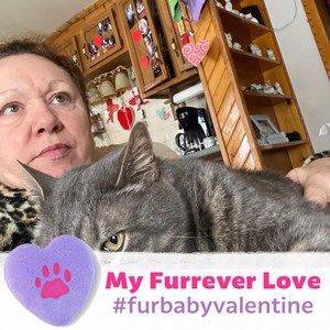 Meet your Posher, Colleen